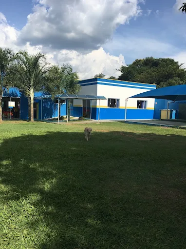 Cachorro da escola no gramado ao ar livre