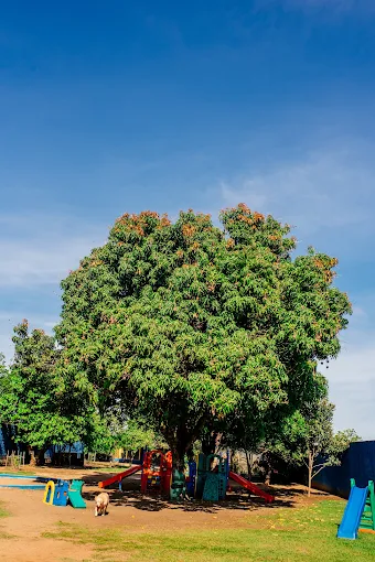 Área verde com árvore grande e brinquedos